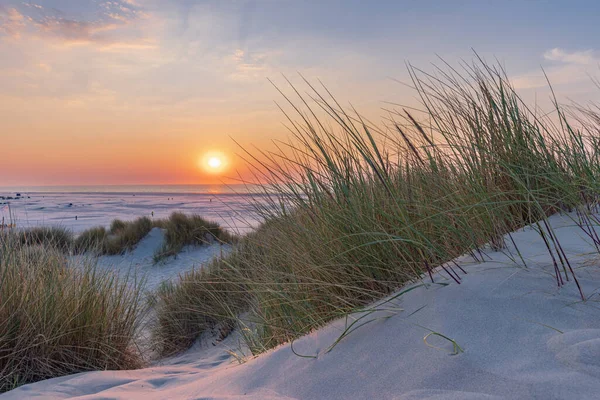 Krajina Duny Při Západu Slunce Pláži Ostrova Wadden Terschelling Provincii — Stock fotografie