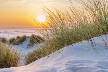 Hollanda 'nın Terschelling Friesland eyaletinin Wadden Adası plajında gün batımında kum tepeleri manzarası