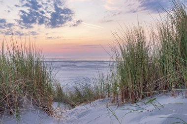 Hollanda 'nın Terschelling Friesland eyaletinin Wadden Adası plajında gün batımında kum tepeleri manzarası