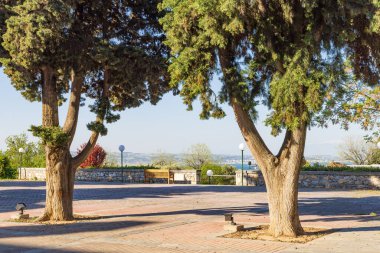 Yunanistan 'daki Selanik Orta Makedonya' daki Amerikan Çiftlik Okulu 'nun eski çam ağacının bulunduğu ana binadan görüntü