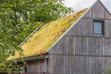 Hollanda 'da Exloo yakınlarında Drenthe' deki Wodoen evinde bitkileri olan yeşil çatı.