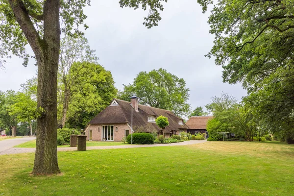 Casa Rural Tradicional Con Techo Paja Odoorn Drenthe Países Bajos — Foto de Stock