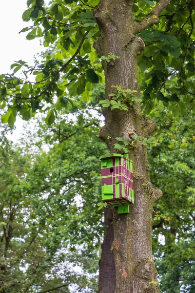 Emmen Paesi Bassi Luglio 2023 Colorful Birdhouse Marketing Text City — Foto Stock
