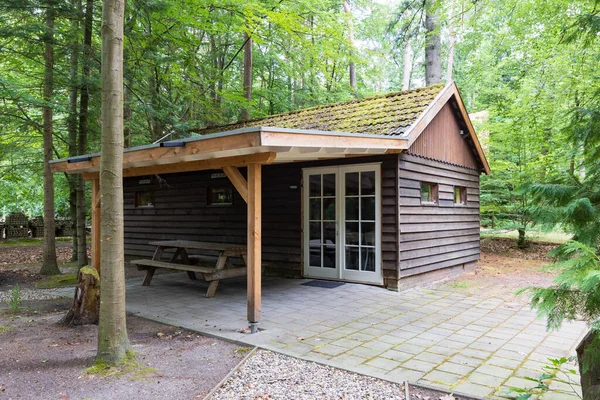 Winzige Nachhaltige Holzhäuser Zur Miete Wald Odoorn Der Provinz Drenthe — Stockfoto
