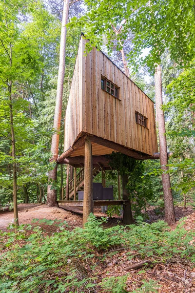 Małe Zrównoważone Drewniane Domy Wynajęcia Lesie Odoorn Prowincji Drenthe Holandii — Zdjęcie stockowe