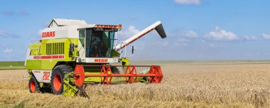 Pieterburen, Hollanda, 9 Ağustos 2023: Hollanda 'nın Groningen ilindeki Pieterburen iHet HOgeland' da tahıl hasatçısının birleştirilmesi