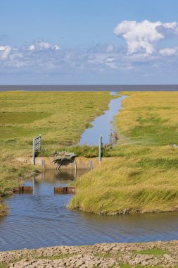 Hollanda 'nın kuzeyindeki Pieterburen Het Hogeland yakınlarındaki Wadden Denizi manzarası