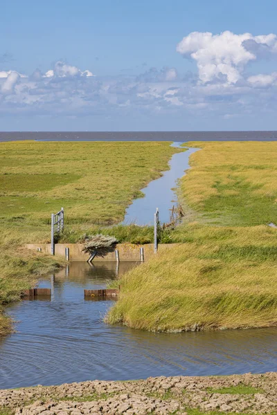 Landschap Waddenzee Bij Pieterburen Het Hogeland Noord Groningen Stockfoto