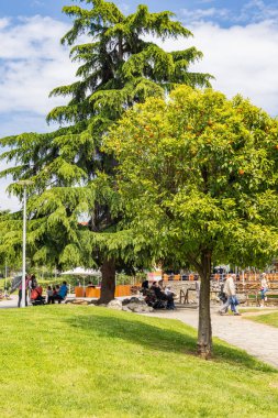 Selanik, Yunanistan - 29 Nisan 2023: Yunanistan 'ın orta kesimindeki Selanik' te restoran ve kaplumbağalarla Pendion Areos halk parkı