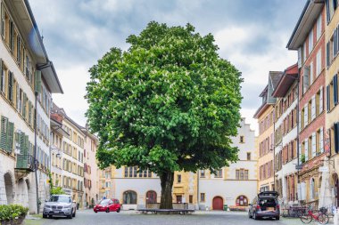 Burgdorf, İsviçre - 16 Mayıs 2023: Bulutlu bir günde İsviçre 'de Burgdorf, Bern Kantonu' nun eski şehir merkezinde büyük kestane ağacı