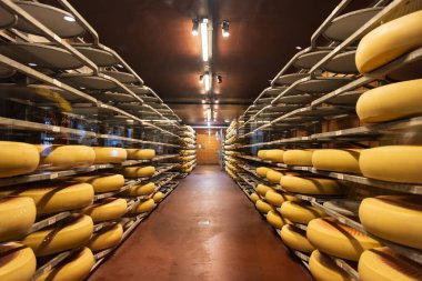 İsviçre 'deki Emmental Canton Bern' de Emmental Peynir Fabrikası