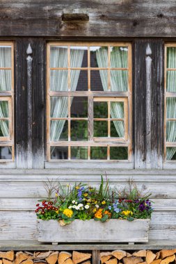 Pencereleri, çok renkli çiçekleri ve ahşap deposu olan yıpranmış ahşap bir çiftlik duvarı.