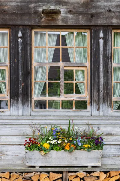 Weathered wooden farm wall with windows, multi-colored flowers and wood storage