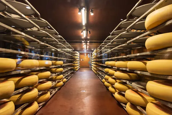 スイスのエンメンタル バーンにあるエミュメンタルチーズ工場の貯蔵 ロイヤリティフリーのストック画像