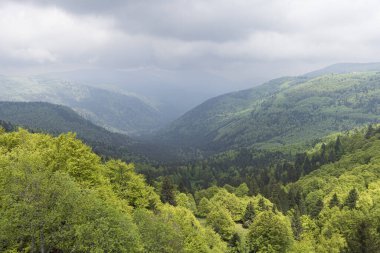 Fransa 'nın Vosges bölgesinde Cretes Çevre Yolu