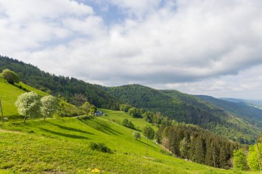 Fransa 'nın Vosges bölgesinde Cretes Yolu boyunca gezmek