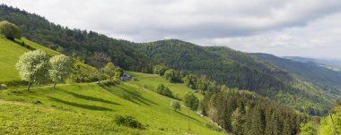 Fransa 'nın Vosges bölgesinde Cretes Yolu boyunca gezmek