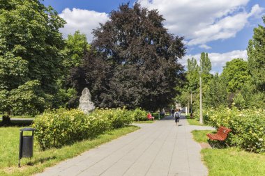 Polonya, Krakow 'daki Bitki Parkı' nda yürüyen bir kadın. Park, Cracovalılar tarafından sevilen manzaralı bir yürüyüş yolu oluşturuyor.