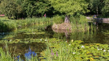 Krakow, Polonya - 18 Temmuz 2023: Polonya 'nın Krakow Malopolska bölgesindeki Jagiellonian Üniversitesi Botanik Bahçesindeki güzel gölet manzarası