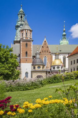 Polonya 'nın Krakow Malopolska bölgesindeki Royal Wawel kalesinde çiçekler