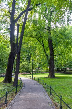 Polonya, Krakow 'daki Bitki Parkı boyunca yürüyorum. Park eski kasabanın etrafında popüler manzaralı bir yürüyüş alanı oluşturuyor.