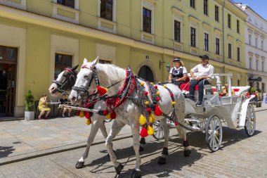 Krakow, Polonya - 18 Temmuz 2023: Polonya 'nın Krakow Malopolska bölgesinde turist gezisi yapan at arabaları