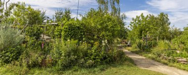 Halk bahçesi Allmende-Kontor Berlin 'de Tempelhofer sahasında, Almanya Avrupa' da