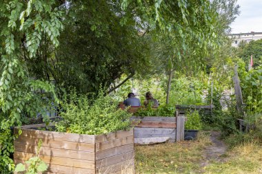 Halk bahçesi Allmende-Kontor Berlin 'de Tempelhofer sahasında, Almanya Avrupa' da