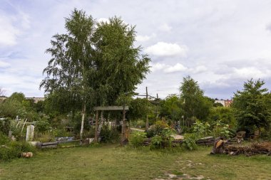 Halk bahçesi Allmende-Kontor Berlin 'de Tempelhofer sahasında, Almanya Avrupa' da