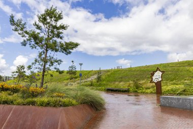 Delfzijl, Hollanda - 8 Ağustos 2023: Hollanda 'nın Groningen ilindeki Delfzijl' de süslü bahçeli yeşil park