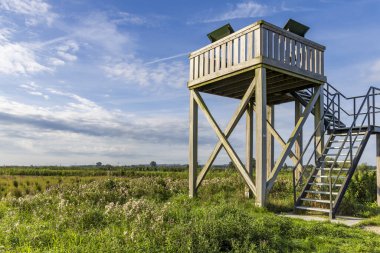 Hollanda 'nın Wageningen en Bennekom Gelderland eyaleti arasındaki Doğa Bölgesi Binnenveld Platformu