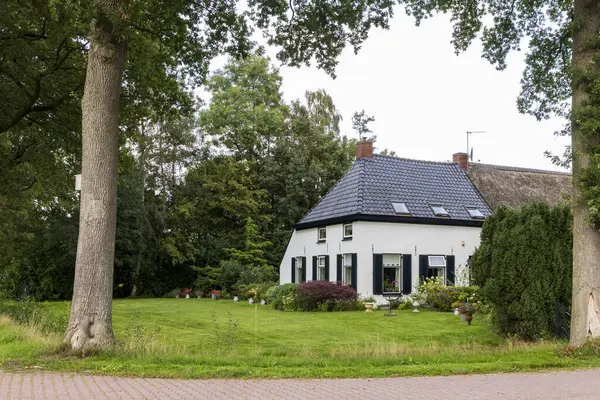 stock image Large white farm house surrounded by trees in Foxwolde municpality Noordenveld in Drenthe The Netherlands