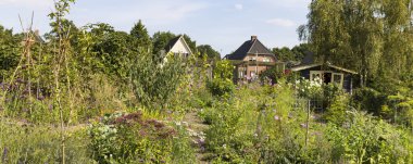 Hollanda 'nın Gelderland kentindeki Ede belediyesinde kentsel sosyal sebze bahçesi projesiyle manzara