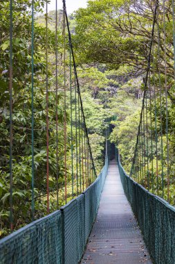 Monteverde, Kosta Rika 'da asma köprü bulut ormanı rezervi