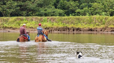 Cano Negro Wildlife Refuge, Kosta Rika - 10 Mart 2024: Rio Frio nehrini atlarıyla geçen yerel Maleku adamı Kosta Rika Orta Amerika 'da Negro Vahşi Yaşam Sığınağı' nda