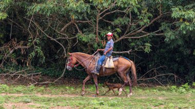Cano Negro Wildlife Refuge, Kosta Rika - 10 Mart 2024: Rio Frio nehrini atlarıyla geçen yerel Maleku adamı Kosta Rika Orta Amerika 'da Negro Vahşi Yaşam Sığınağı' nda