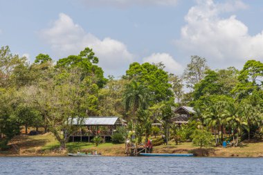 Kosta Rika ve Nikaragua sınırında San Juan nehri boyunca El Desaguadero olarak da bilinen ağaçlar arasındaki ekologun manzarası