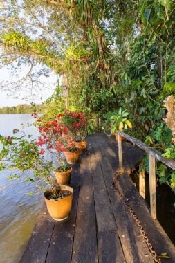 Kosta Rika ve Nikaragua sınırındaki San Juan nehri boyunca bir ekologun manzarası