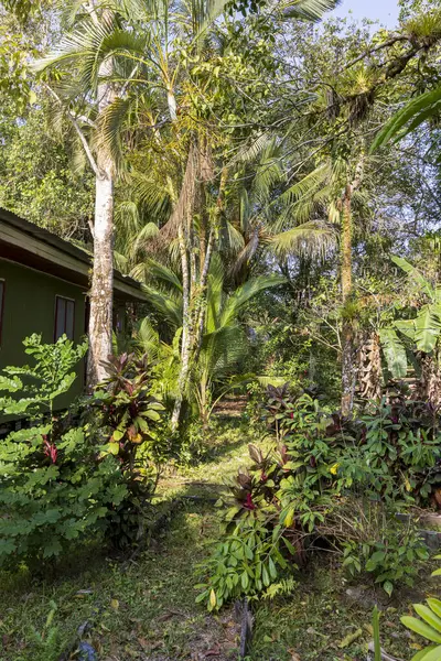 stock image Scenic view of an ecolodge along San Juan river at the border of Costa Rica and Nicaragua