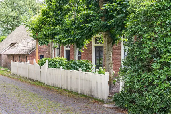 Hollanda 'nın Noordenveld belediyesindeki Norg köyünde saman çatısı olan antik çiftlik evleri. Kuzey Drenthe 'de geleneksel Esdorp.