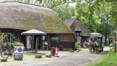 Orvelte, Hollanda - 9 Temmuz 2024: Hollanda Drenthe 'de Orvelte Picoresque adlı küçük bir kasabada turist ve Haflinger atlarıyla dolu gizli vagon.