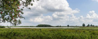 De Meppen Hooilanden Panorama manzarası Drenthe Hollanda 'da Gees yakınlarındaki Coevorden Belediyesi