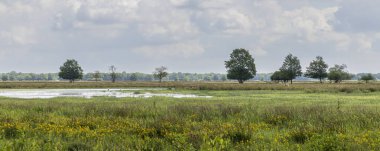De Meppen Hooilanden Panorama manzarası Drenthe Hollanda 'da Gees yakınlarındaki Coevorden Belediyesi