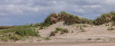 Kum tepelerinin manzarası Doğa rezervi De Slufter Hollanda 'daki Texas adasında.