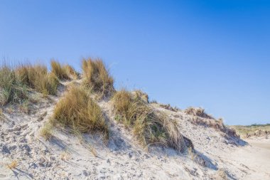 Kum tepeleri Hollanda wadden Adaları ile manzara.