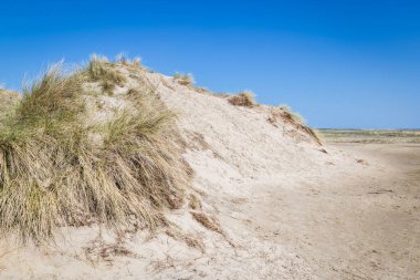 Kum tepeleri Hollanda wadden Adaları ile manzara.