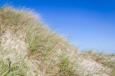 Kum tepeleri Hollanda wadden Adaları ile manzara.