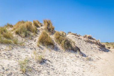Hollanda 'daki boş adalarda kum tepecikleri olan bir manzara..