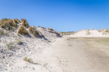 Hollanda 'daki boş adalarda kum tepecikleri olan bir manzara..