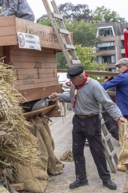 Barneveld, Hollanda - 1 Ağustos 2024: Hollanda 'nın Barneveld Gelderland eyaletinde yaz aylarında geleneksel Veluwe pazarında tahıl ve saman hasadı gösterimi